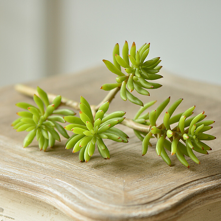 莱菲花艺 顶级仿真花 多肉老桩 王玉珠帘