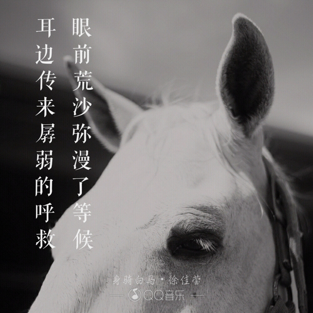 我身骑白马走三关我改换素衣回中原身骑白马