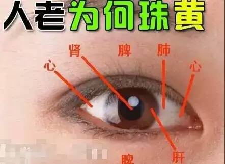 【晴晴说· 养生】 对于“人老珠黄”中医学认为：“五脏六腑之精气充盈，眼睛则清晰明目；五脏六腑之精气匮乏，眼睛则老化生疾。”
肾气和肝气不足，虚火上潜，体内毒素不能快速分解并排出体外，就会出现‘人老珠黄’的现象，而黑糖可加速皮肤细胞的代谢，为细胞提供能量，补充营养，促进再生，姜丝性温、归脾。红枣：提高血清白蛋白，保护肝脏，红枣中还含有抑制癌细胞，甚至可使癌细胞向正常细胞转化的物质。