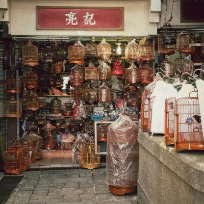 香港旺角的雀鸟花园