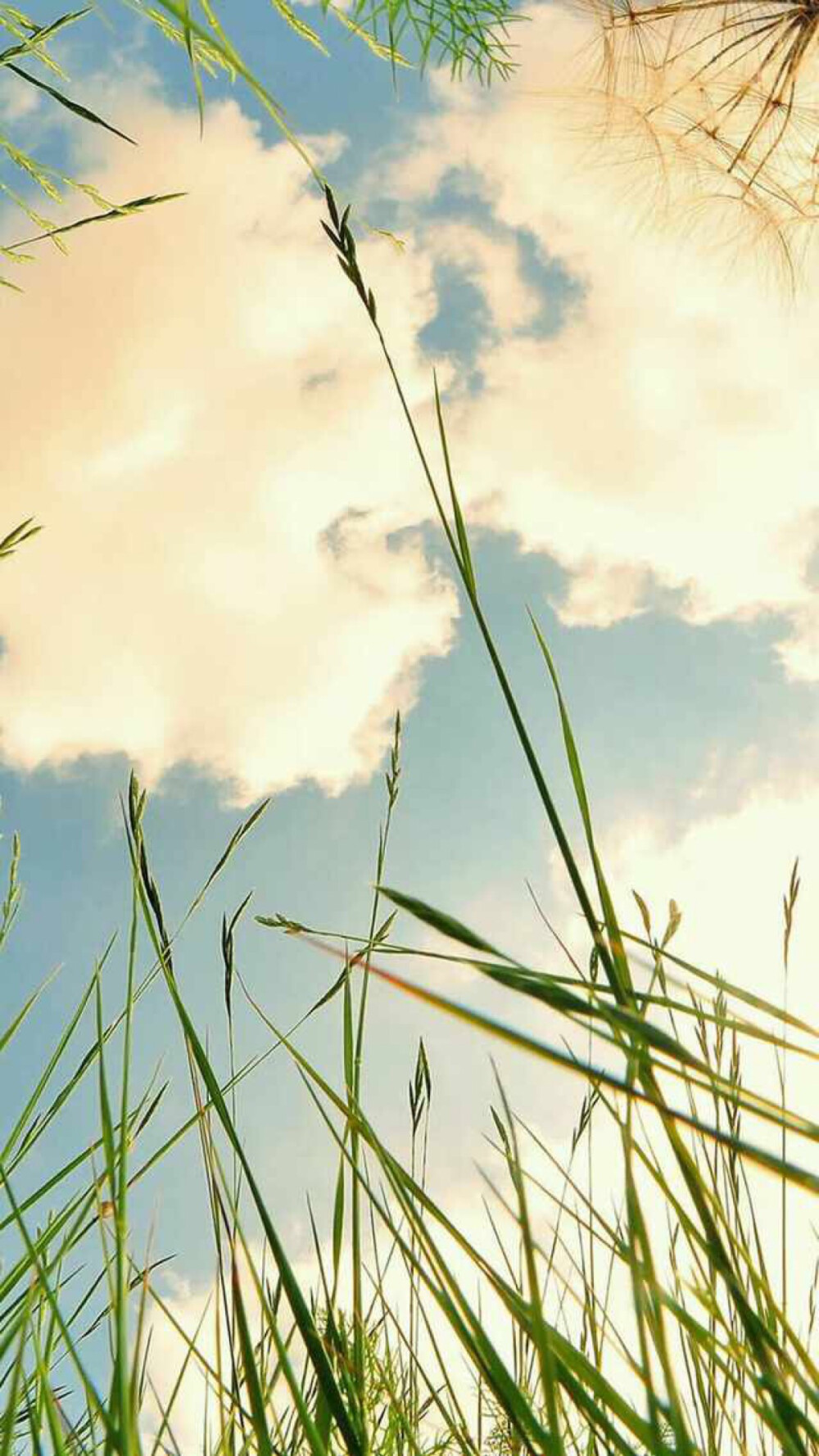 i壁纸:小清新 风景 意境