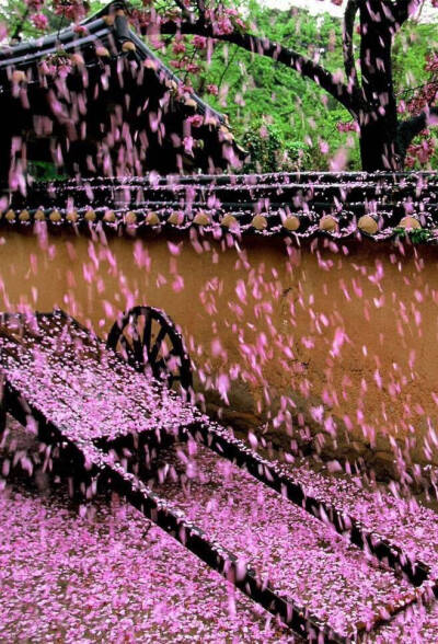 自在飞花轻似梦，无边丝雨细如愁