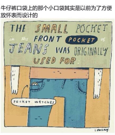 插画家Mike Lowery画的冷知识插画