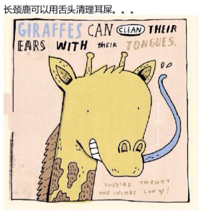 插画家Mike Lowery画的冷知识插画