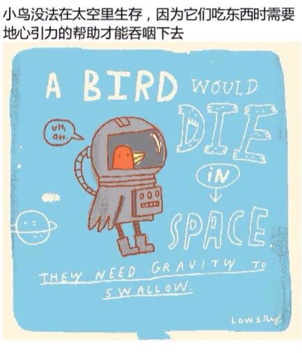 插画家Mike Lowery画的冷知识插画