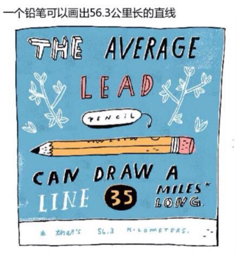 插画家Mike Lowery画的冷知识插画