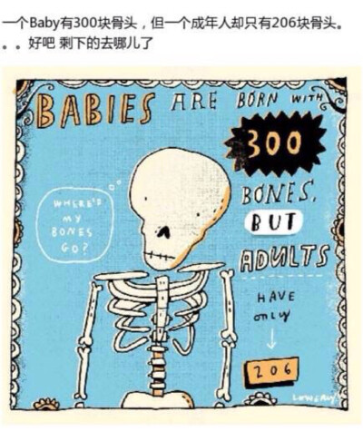 插画家Mike Lowery画的冷知识插画