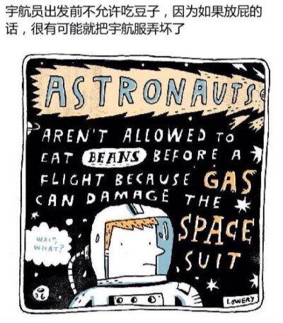 插画家Mike Lowery画的冷知识插画