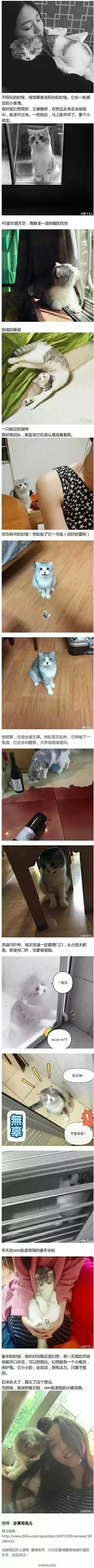 肯定是男友转世