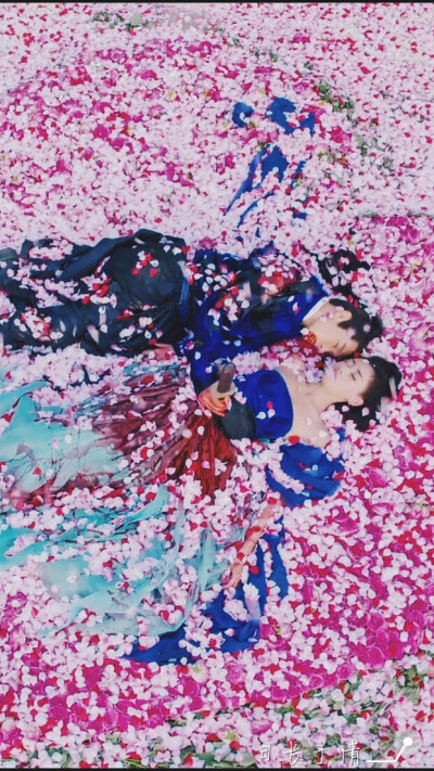 盛一伦～黄桑≧◇≦