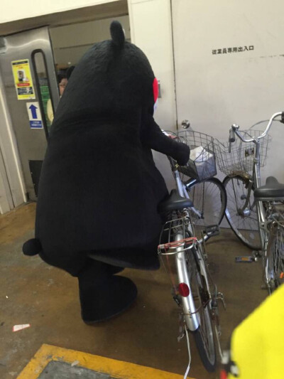 kumamon 泊单车