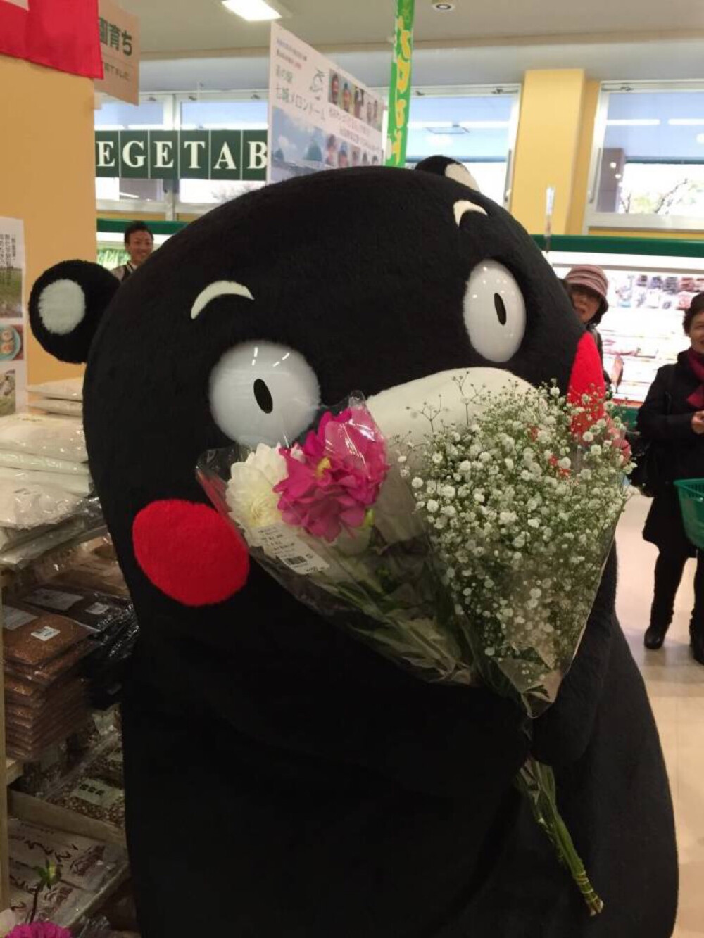 kumamon