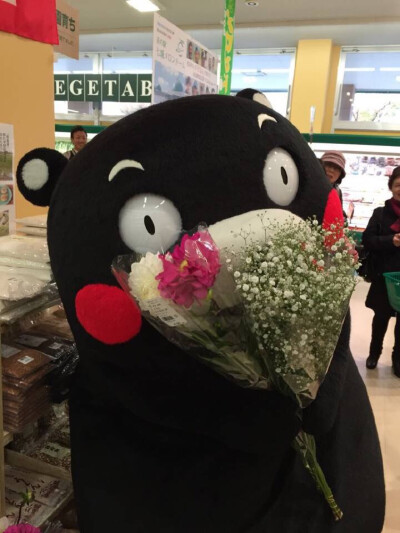 kumamon