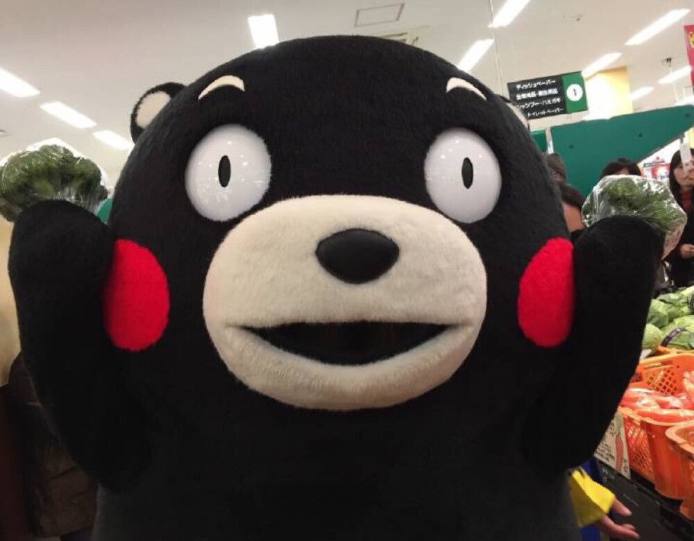 kumamon 要吃西兰花吗