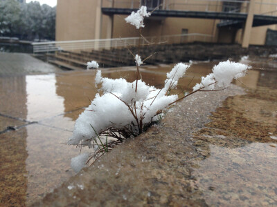 下雪天