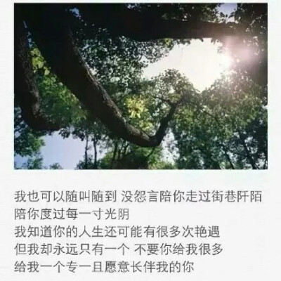 陪你度过每一寸光阴