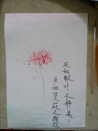水彩画 生如夏花
