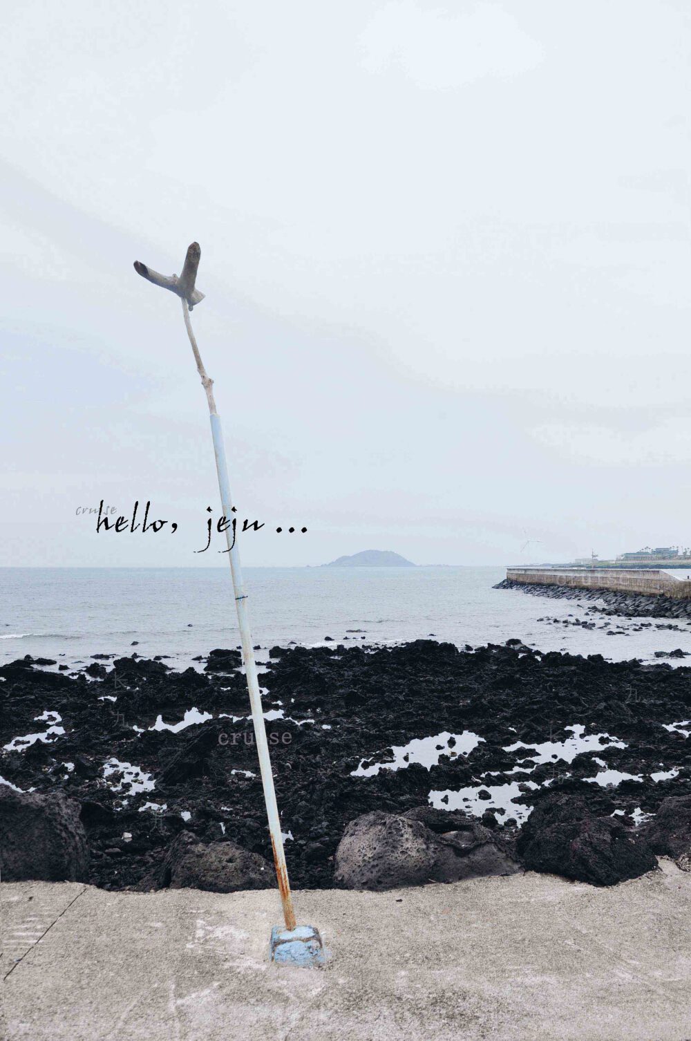 【cruise】hello，jeju …衣日说“看你的照片，总有一种淡淡的失恋感……“