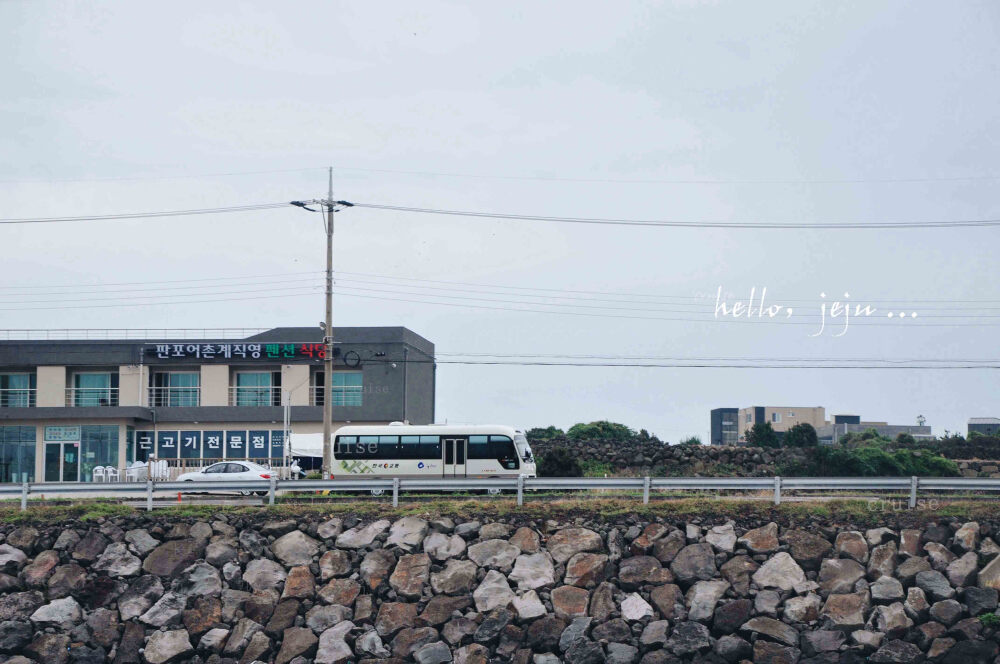 【cruise】hello，jeju …