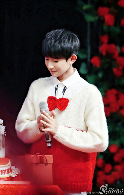 TFBOYS王源 151128生日会 cr:Celinrk