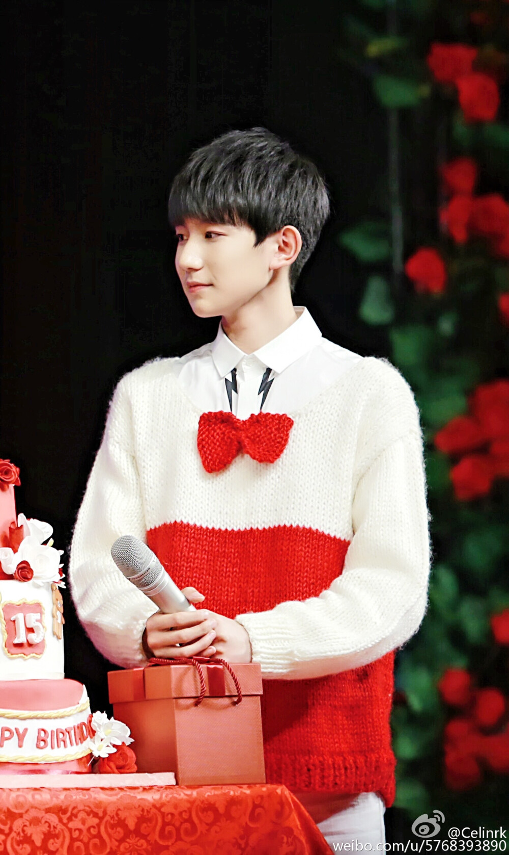 TFBOYS王源 151128生日会 cr:Celinrk