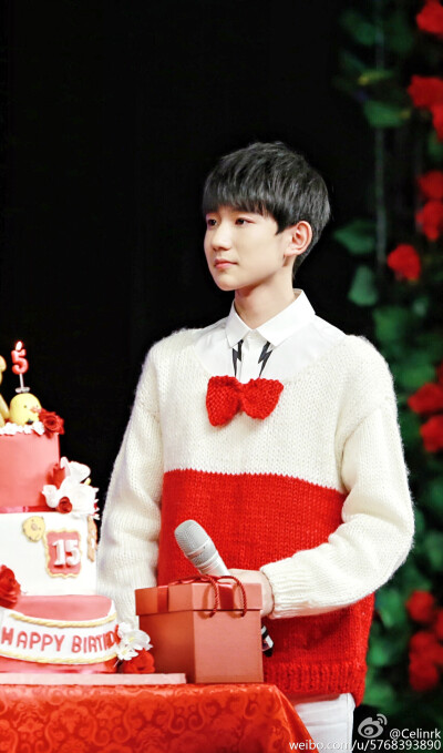 TFBOYS王源 151128生日会 cr:Celinrk