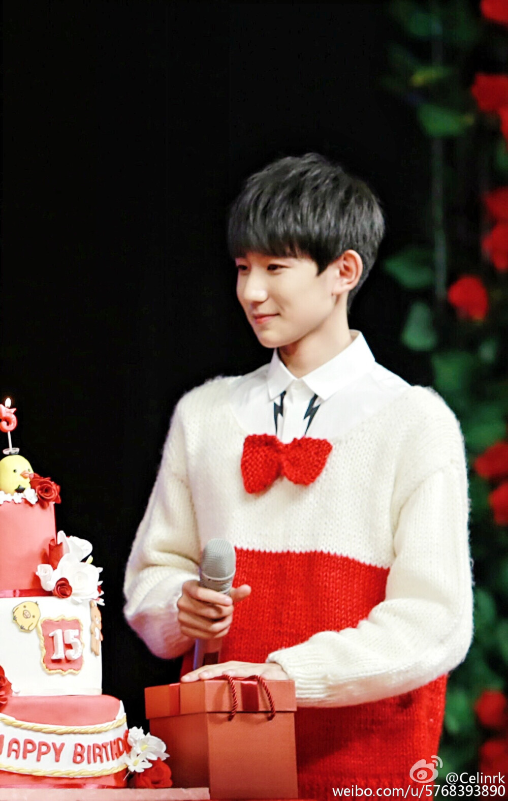 TFBOYS王源 151128生日会 cr:Celinrk