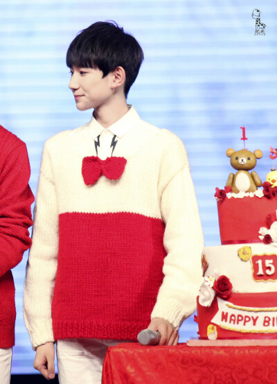 TFBOYS王源 151128生日会 cr:MagicRoy-源家手工坊