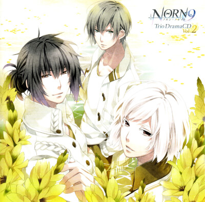 NORN9 命运九重奏 加贺见一月 吾妻夏彦 二条朔也 壁纸