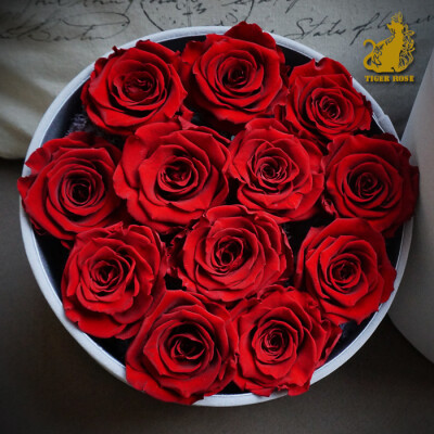 12朵不凋零的永生红玫瑰爱是全部