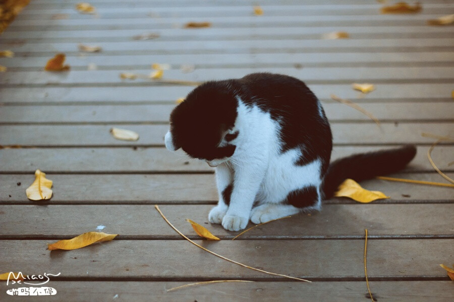“对不起嘛~我错了”