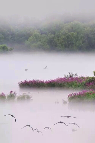 水墨山水