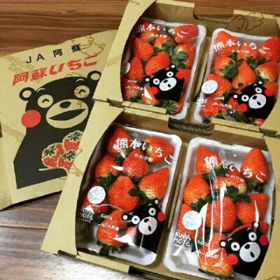 来自日本熊本县 部长代言的草莓