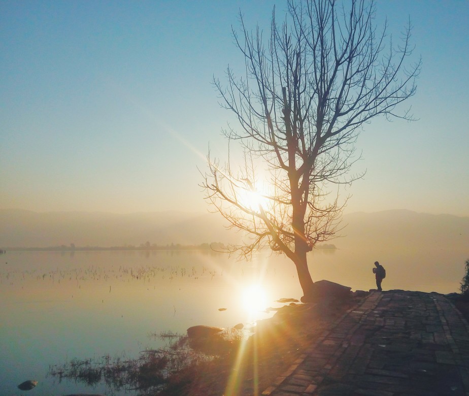 冬日早晨 湿地