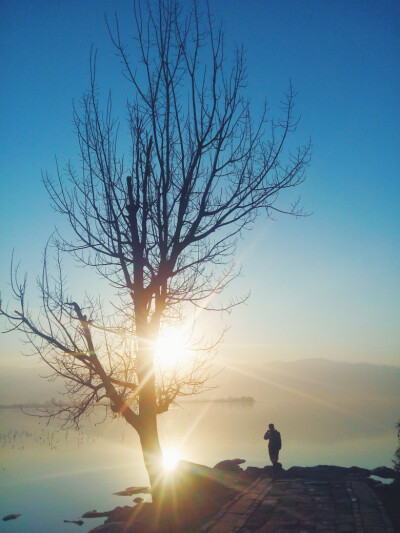 冬日早晨 湿地