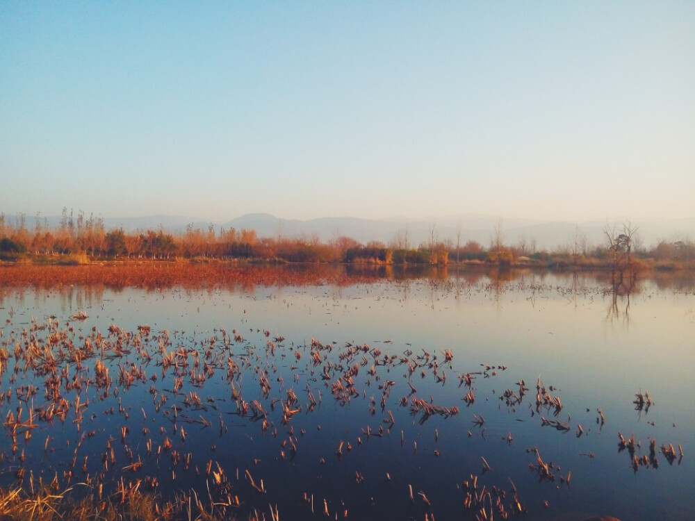 冬日早晨 湿地