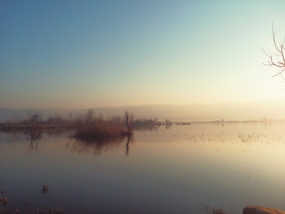 冬日早晨 湿地