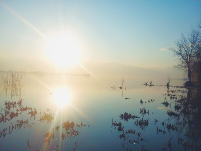 冬日早晨 湿地