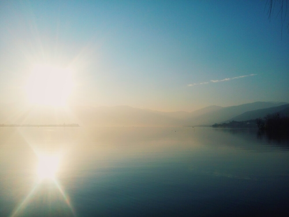 冬日早晨 湿地