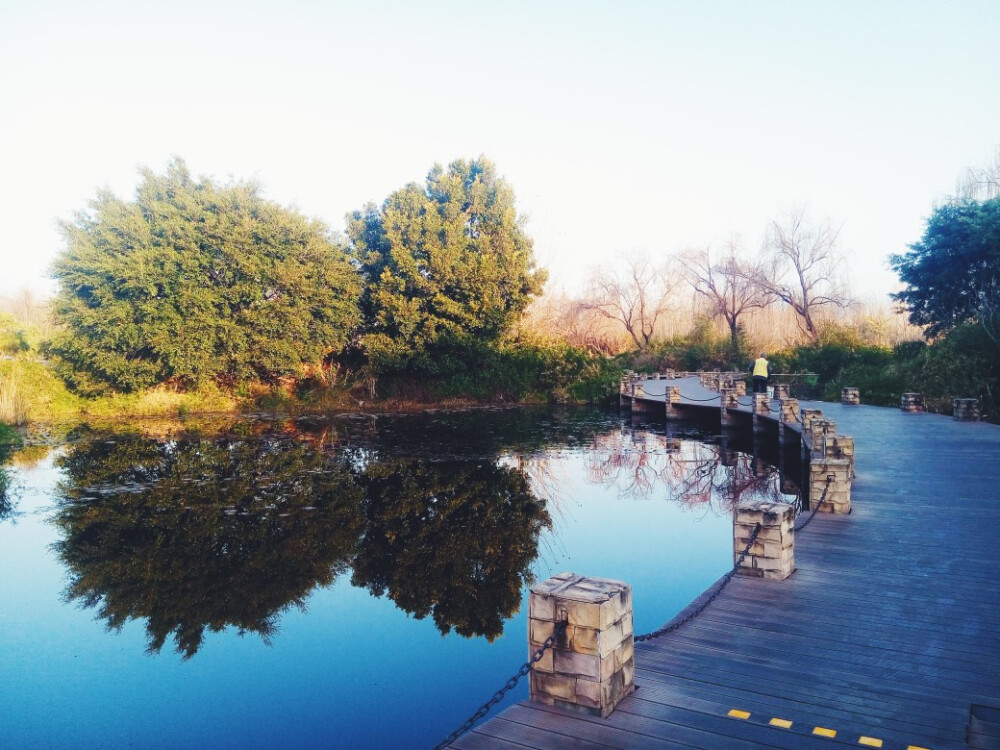 冬日早晨 湿地