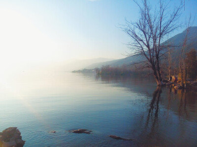 冬日早晨 湿地