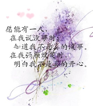 伤感 张小娴
