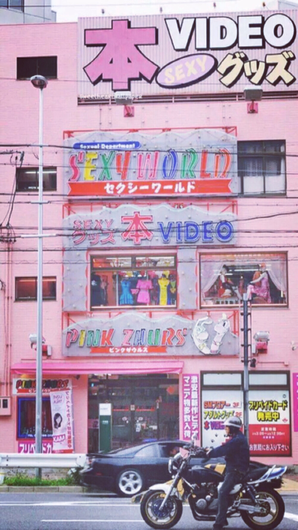 软粉soho