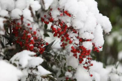 雪韵～～