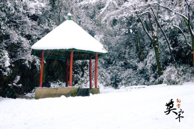 1月21日/下雪了，不用闲在家里了，出去爬山/《蒼山沐雪，浮生盡歇》#莫干山