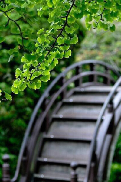  静水流深，沧笙踏歌，如花美眷，只缘感你一回顾，使我常思朝与暮。转身后，一缕幽香远， 逝雪浅，春意浓，笑意深。一叶绽放一追寻，一花盛开一世界，一生相思为一人。