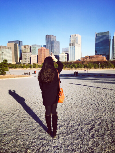 皇居门口的有一片沙地，听说是为了提防忍者来刺杀。一只忍者飘过～～