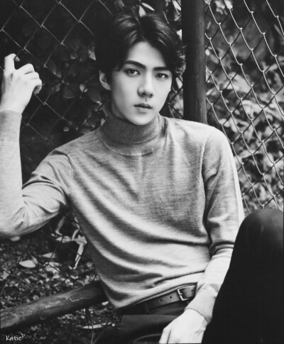 EXO 吴世勋 sehun 明星 美男