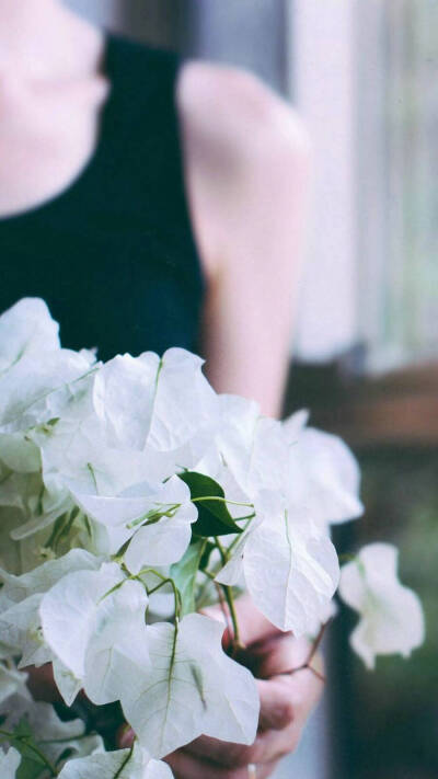 #壁纸##手机壁纸##iphone壁纸##平铺##欧美##小清新##少女心##日韩##简约##干净##个性##动漫##黑白#