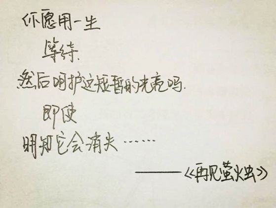 《再见萤火虫》